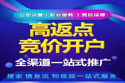 案例解析：竞价广告效果评估与优化